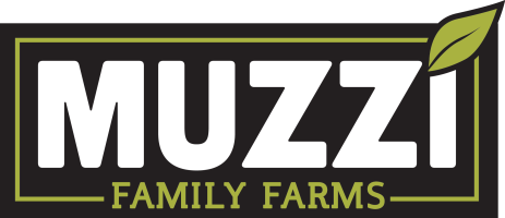 MUZZI-LogoFinal-2COLOR